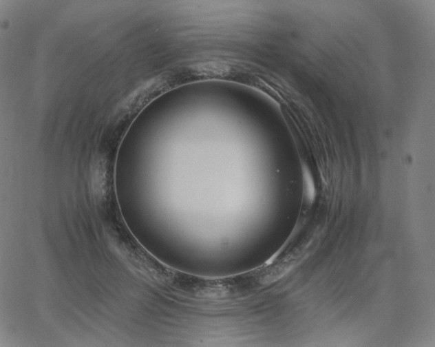 X0000063460600200601201248