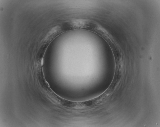 X0000063460601200601201248