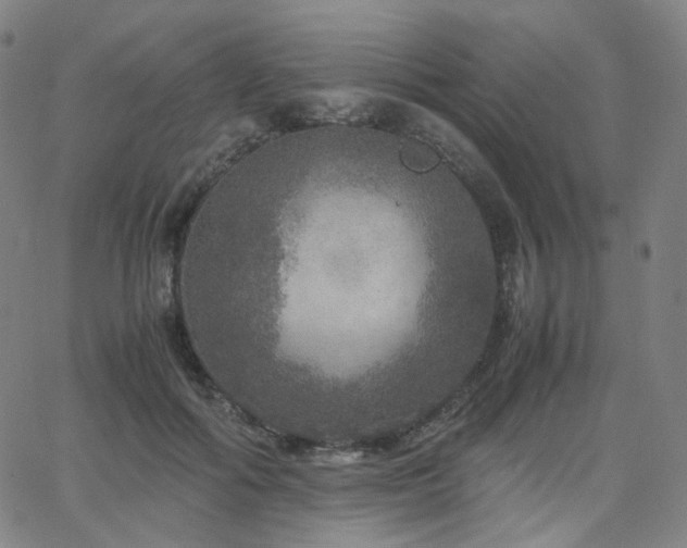 X0000063460602200601201247