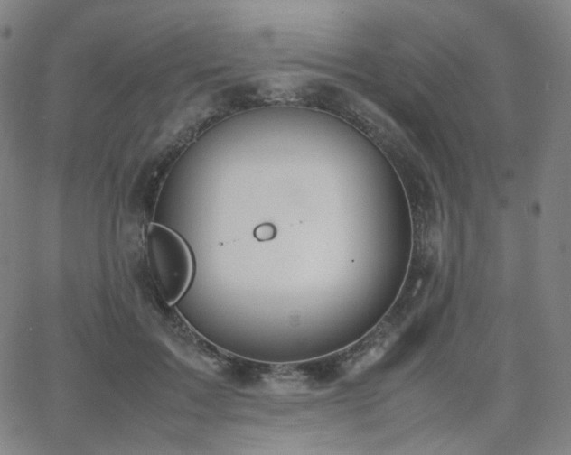 X0000063460603200601201247