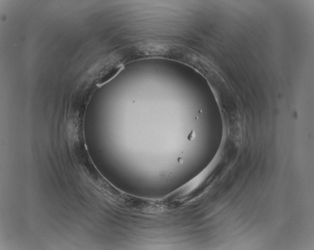 X0000063460604200601201247