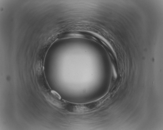 X0000063460605200601201247