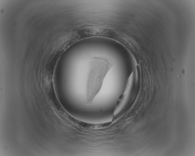 X0000063460607200601201247