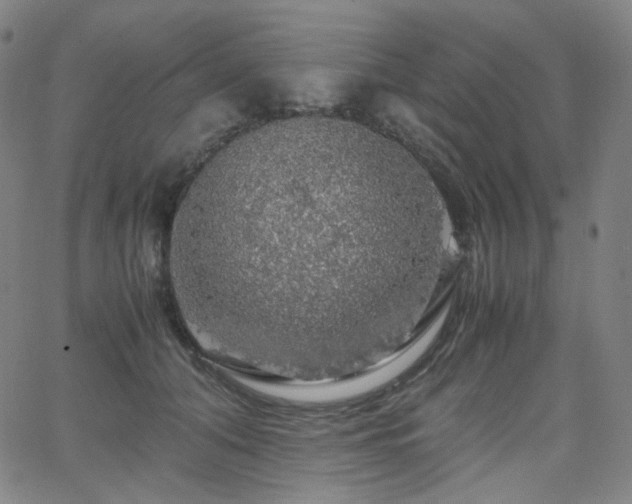 X0000063460608200601201247