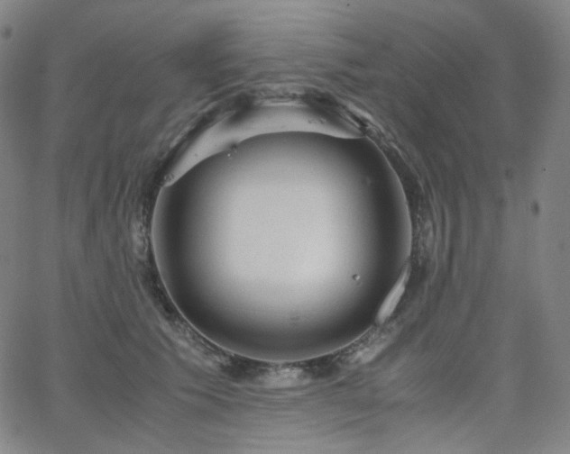 X0000063460609200601201247