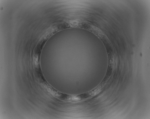 X0000063460610200601201247