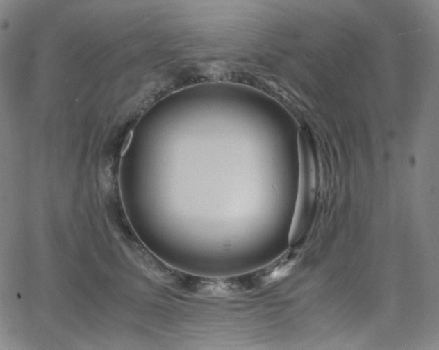 X0000063460611200601201247