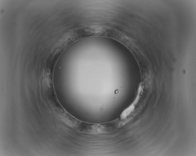 X0000063460612200601201247