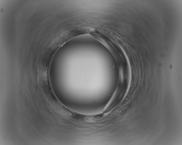 X0000063460613200601201247