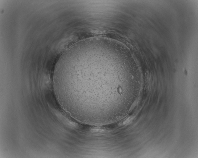 X0000063460614200601201247