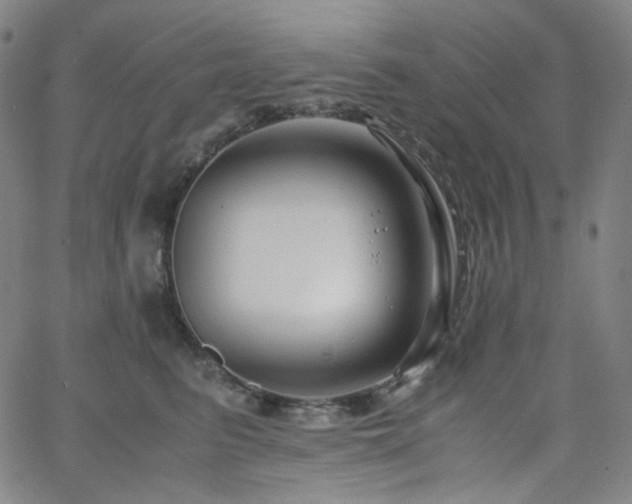 X0000063460615200601201247