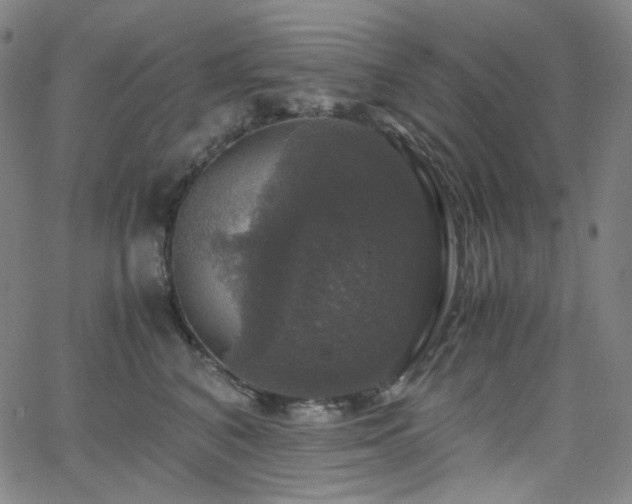 X0000063460616200601201247