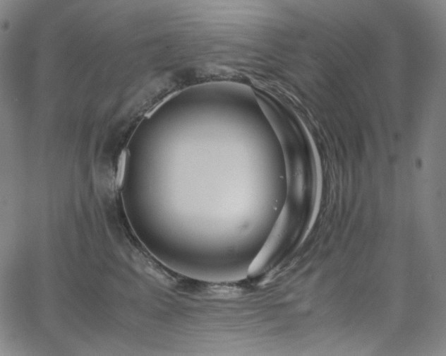 X0000063460617200601201247