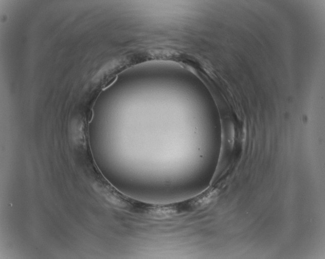 X0000063460619200601201247