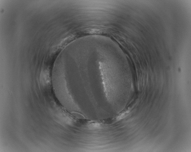 X0000063460620200601201247