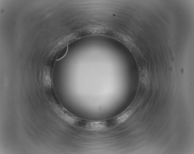 X0000063460622200601201247