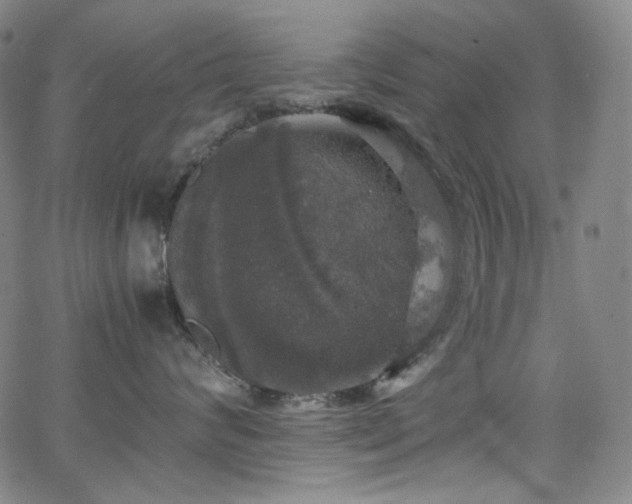 X0000063460624200601201247