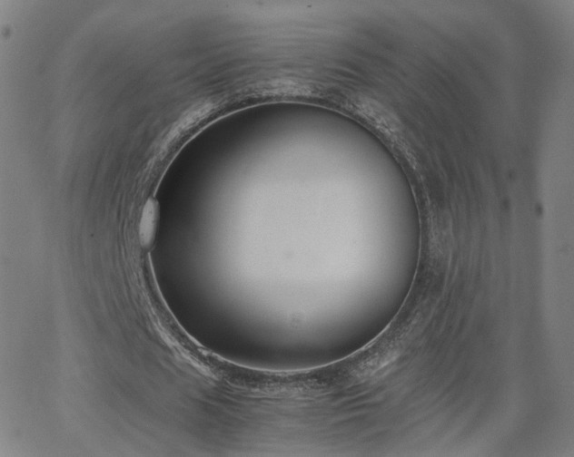 X0000063460625200601201246