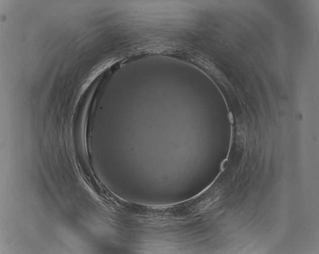 X0000063460626200601201246