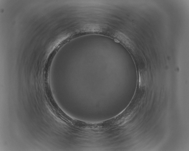 X0000063460627200601201246