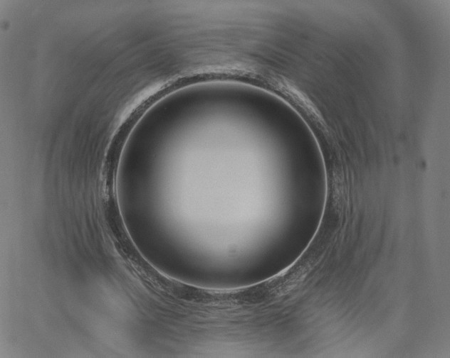 X0000063460628200601201246