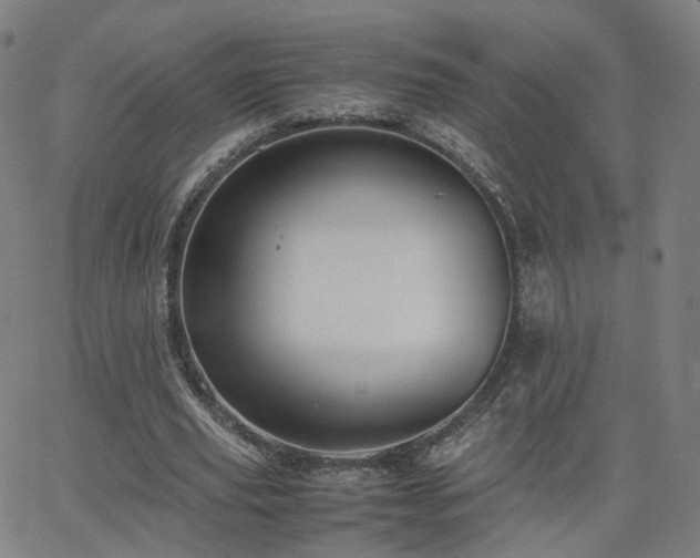 X0000063460629200601201246