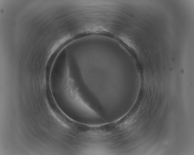 X0000063460630200601201246