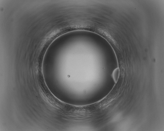 X0000063460631200601201246