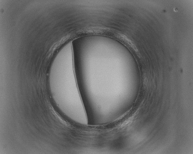 X0000063460633200601201246