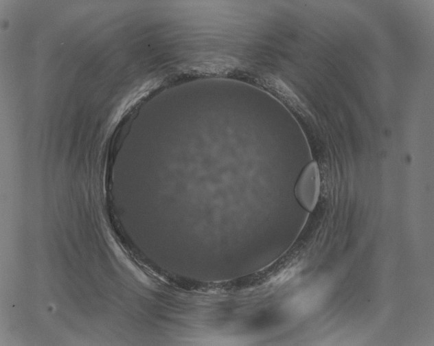 X0000063460634200601201247