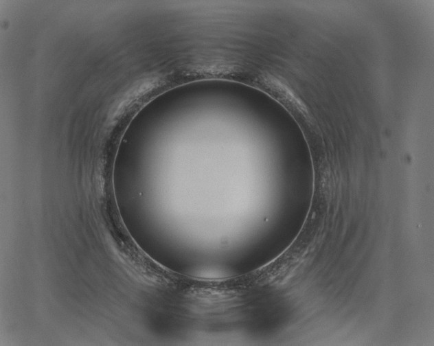 X0000063460635200601201247