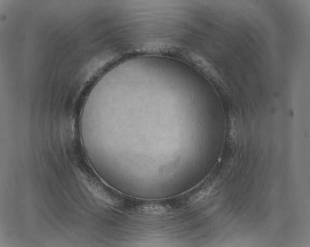 X0000063460636200601201247