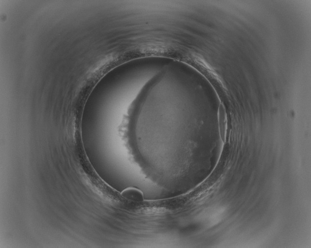 X0000063460637200601201247