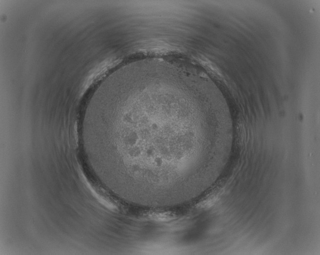 X0000063460638200601201247