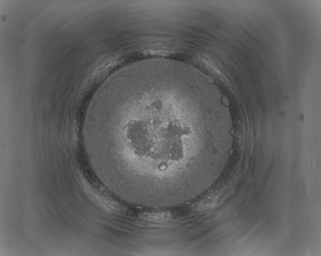 X0000063460639200601201247