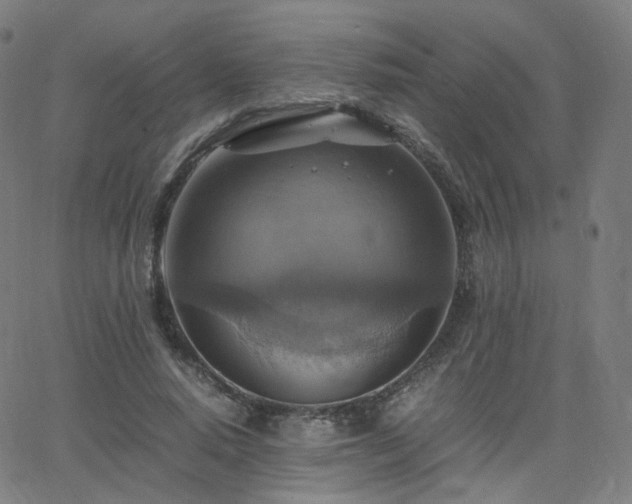 X0000063460640200601201247