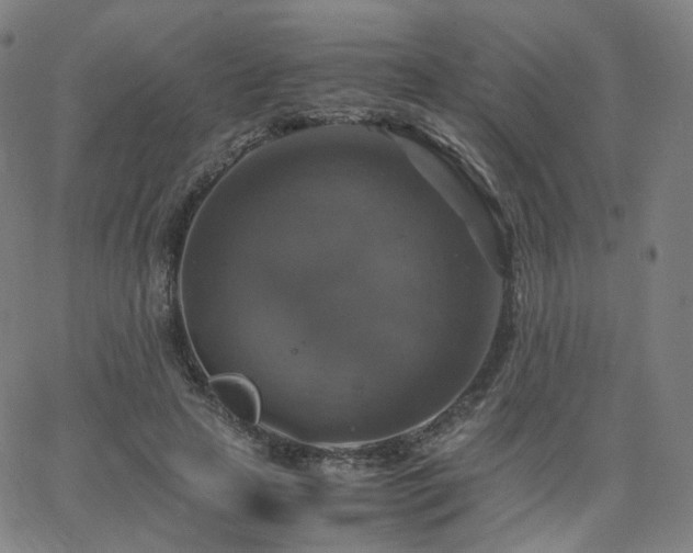 X0000063460641200601201247