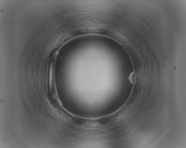 X0000063460642200601201247