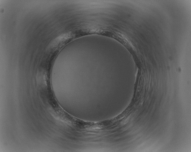 X0000063460643200601201247