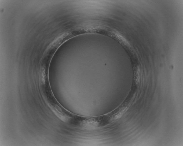 X0000063460644200601201247