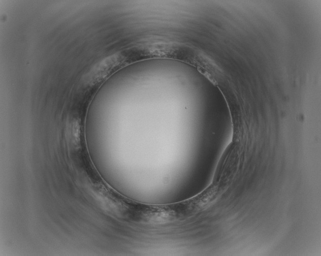 X0000063460646200601201247