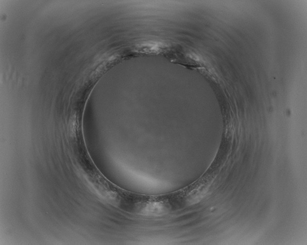 X0000063460647200601201247