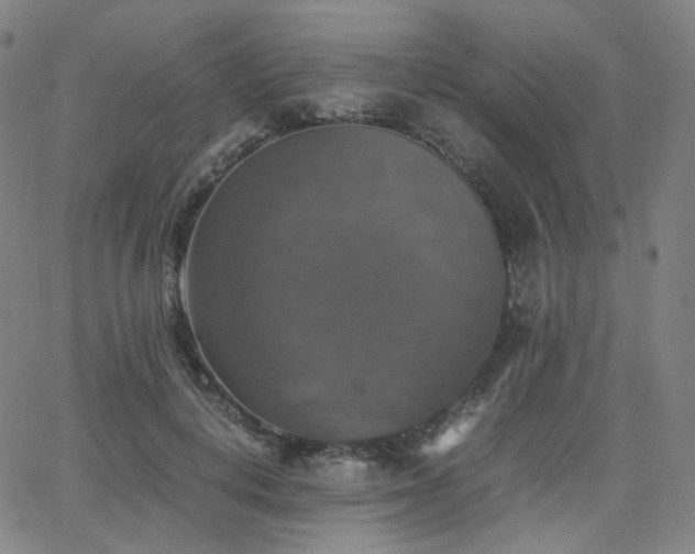 X0000063460648200601201247