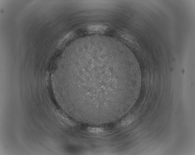 X0000063460649200601201247