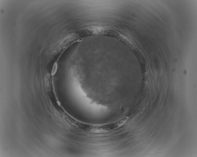 X0000063460650200601201247