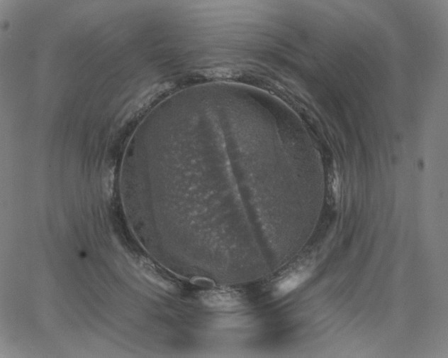 X0000063460652200601201247