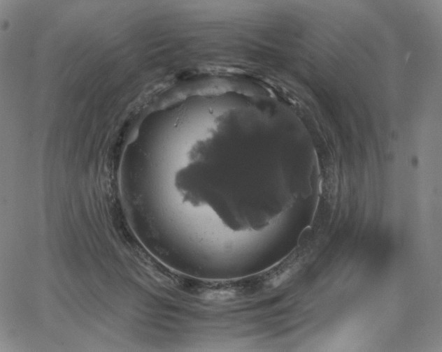 X0000063460653200601201247