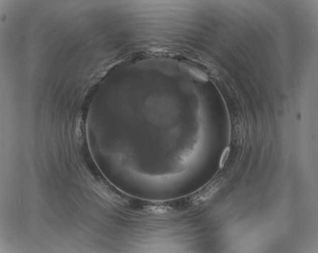 X0000063460654200601201247