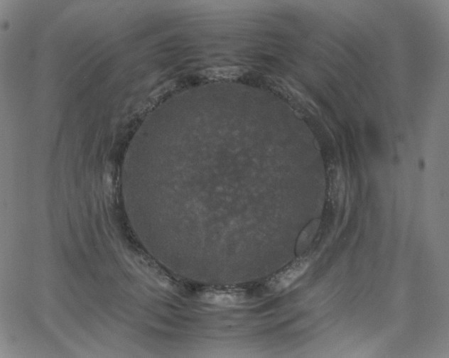 X0000063460655200601201247