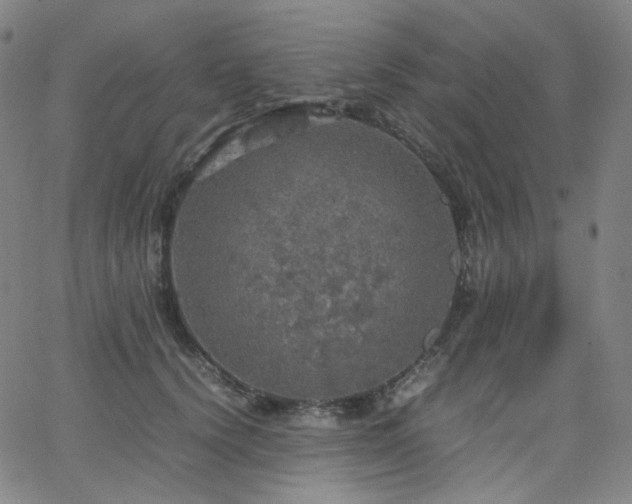 X0000063460656200601201247